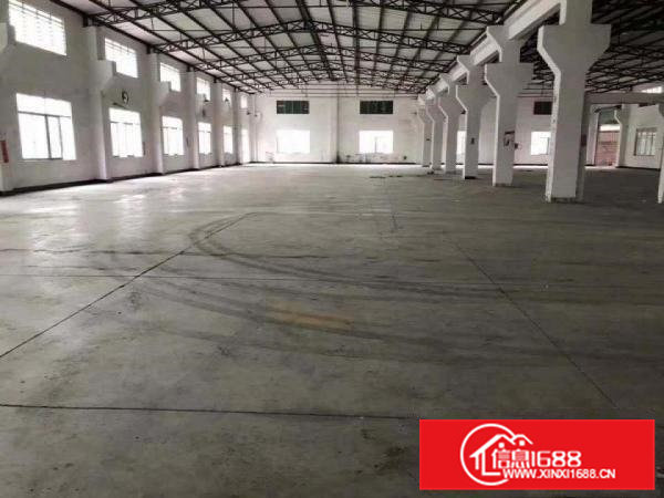 原房东独门独院，滴水十米钢构厂房招租