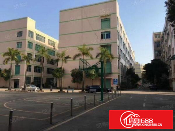 龙岗宝龙高新园区原房东厂房12500实际面积出租分租