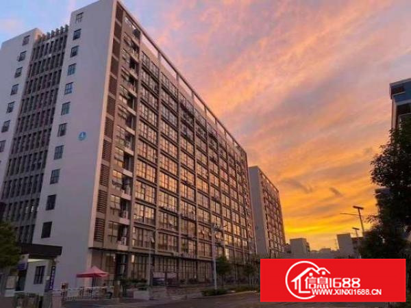 开发商自有物业，8楼3300平