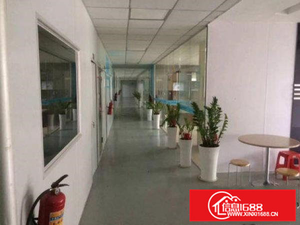 常平朗贝楼上整层2500平米豪华装修厂房招租