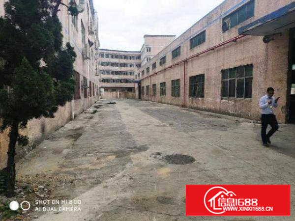 宝安区石岩料坑北环路边厂房招租，独门独院原房东钢结构厂房