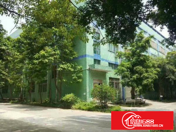 石湾镇中心厂房出租，证件齐全，包办环评。