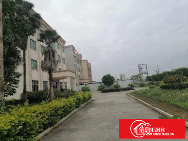 桥头大洲原房东钢结构厂房8500平方滴水8米