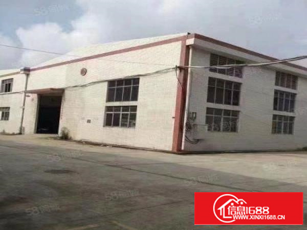 石排经典单一层小独院出租！出租！出租！