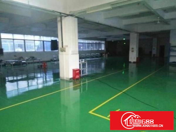 龙岗龙东楼上整层800平带装修厂房出租，无公摊