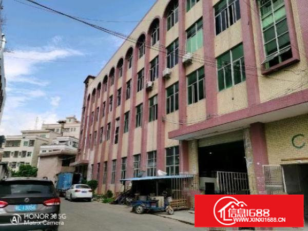 金凤凰带装修楼上1200平出租