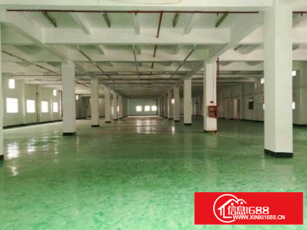 简沙洲新出12500平米标准独门独院厂房招租