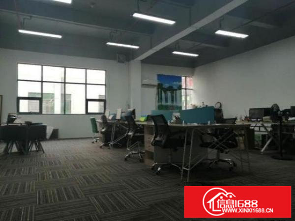 全新办公场地！无转让费！适合电商客户～