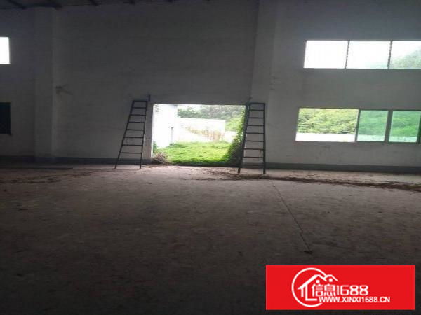 新圩原房东独院靠山边500平方厂房出租