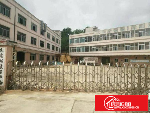 惠阳新圩新出独门独院7500平米平价出租