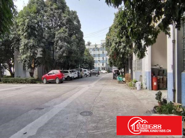 塘厦沙湖新出便宜一楼厂房600平方，高度6米，现成装修