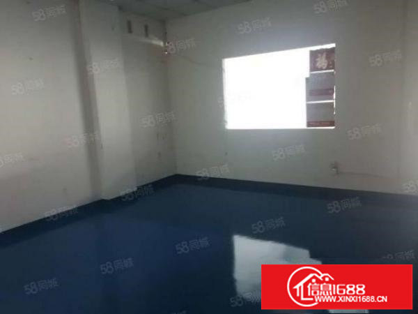 新田社区A栋一楼750租32元带豪华装修有红本