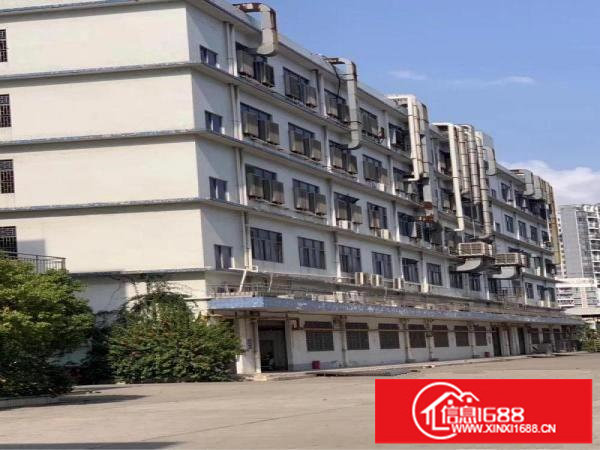 横岗六约10万平米超大工业园招租,大小可以分租