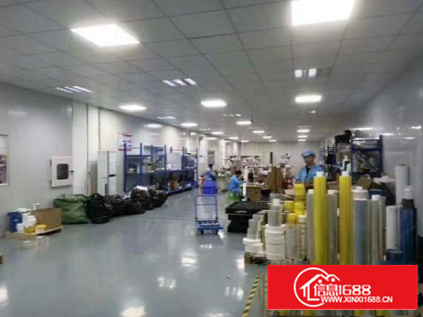 出租石排镇石排500平方厂房，价格便宜，可分，大小均有