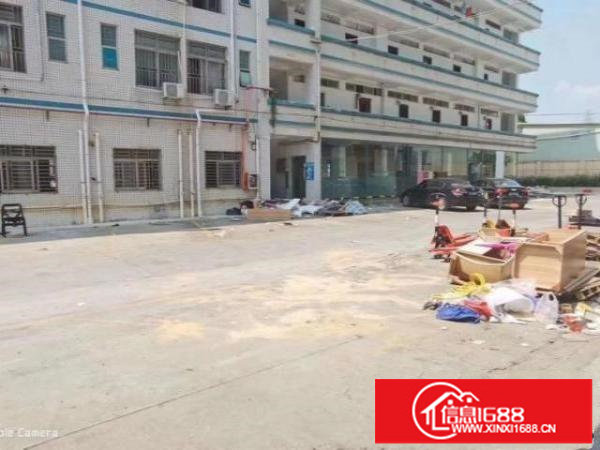 平湖平龙东路独院厂房11800平方可分租