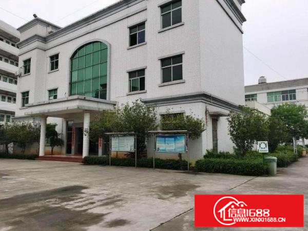 寮步原房东标准独院出租