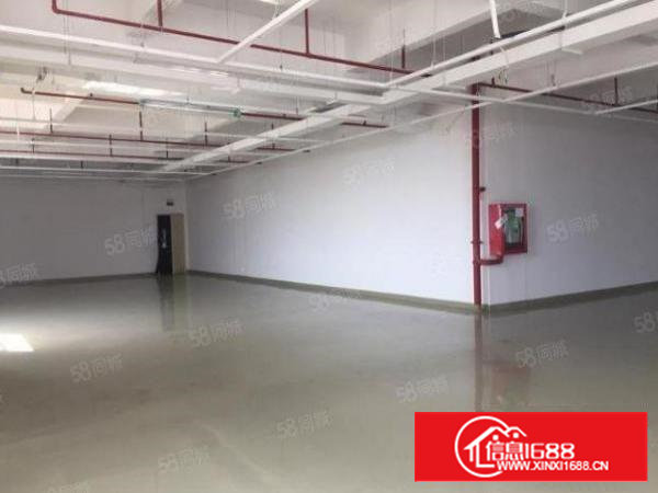 出租！沙井新桥高速边楼上带精装修1300平厂房出租