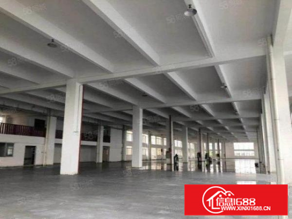 新建独栋带五吨电梯，乐从工业区15600方标准厂房环评秒过A