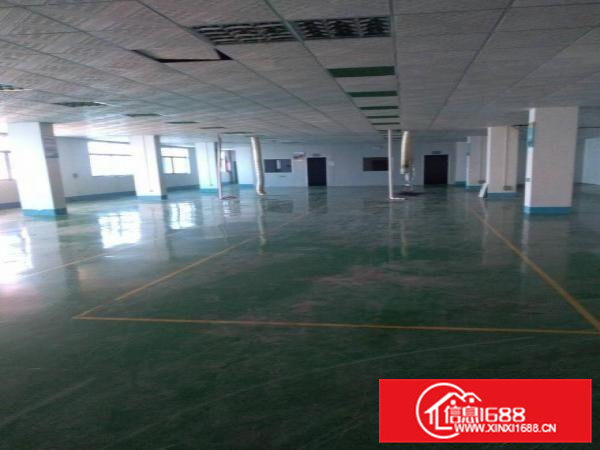 清溪厦坭工业园原房东1300平楼上办公室装修厂房出