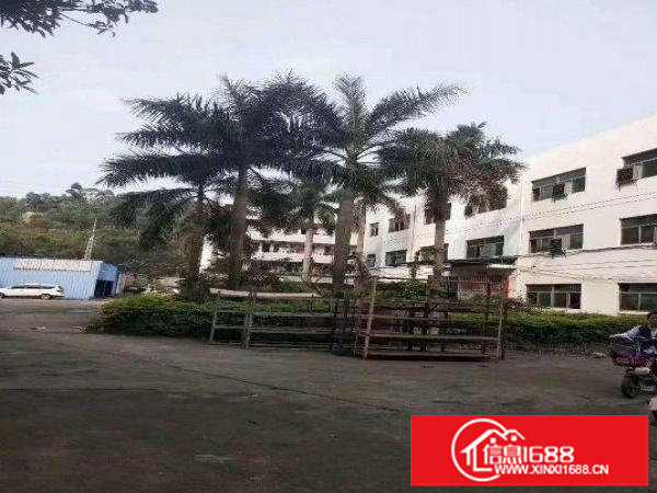 沙浦围一楼1080高5.5米厂房带红包可办环评