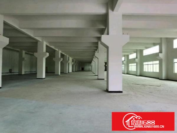 全新带牛角标准厂房滴水高6.5米