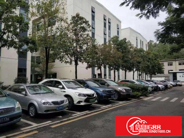 横岗地铁口电商办公仓库出租80平175平285平370平