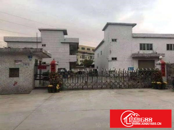 桥头镇原房东标准独院厂房一楼，带牛角，拎包就可以直接投入生产