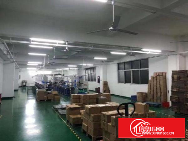 九围新出豪华装修厂房整层1200平方招租