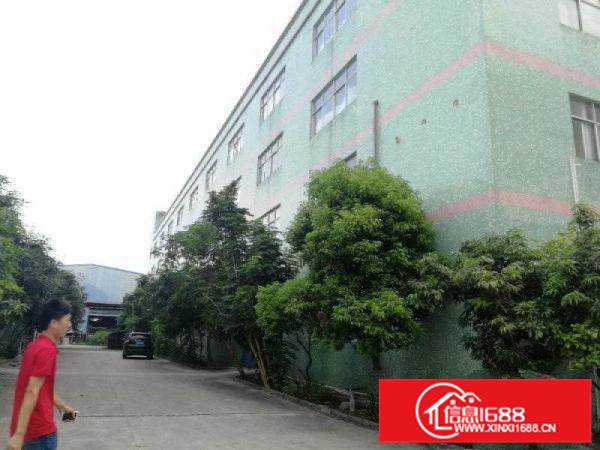 靓盘！（新出单一层）大亚湾带装货平台4300厂房