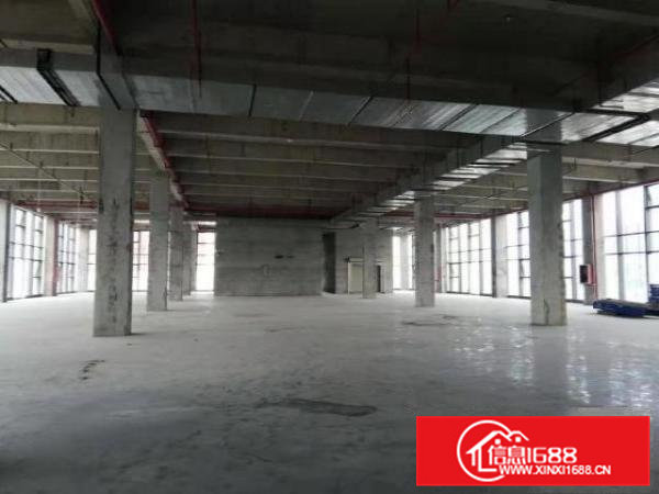 凤岗爱车总动员3000平可分租可电商厂房仓储带装修