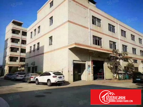 标准独院厂房国有土地可分租消防喷淋超大空地独立使用