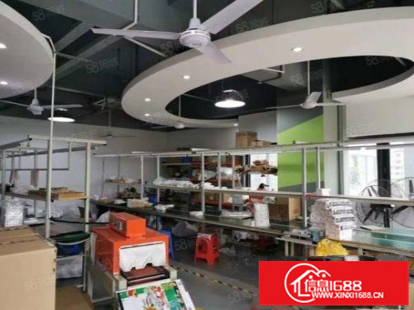 大型园区楼上豪华装修1300平适合做电商，办公贸易等各种行业