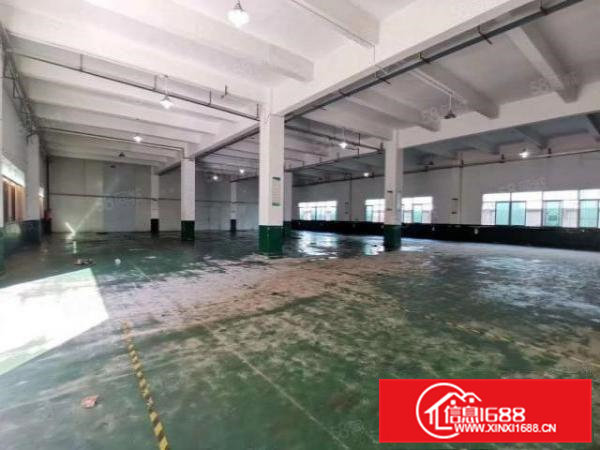 原房东厂房清溪新出一楼7米高980平方无公摊厂房出租