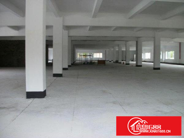 清溪镇（大浦）800平方厂房出租