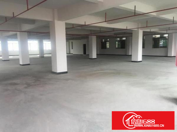 寮步镇塘边社区标准首层一楼1400平厂房出租信息带红本可环评