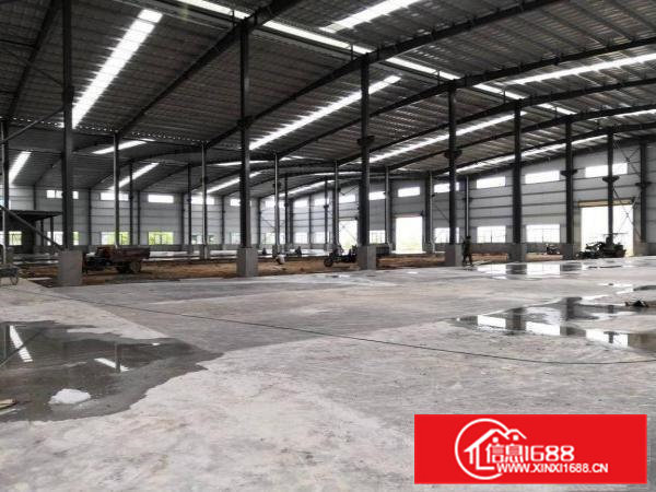 全新独院8米高钢构厂房火爆招租