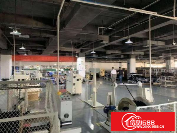 坪山高新区红本厂房带装修5200平可分租