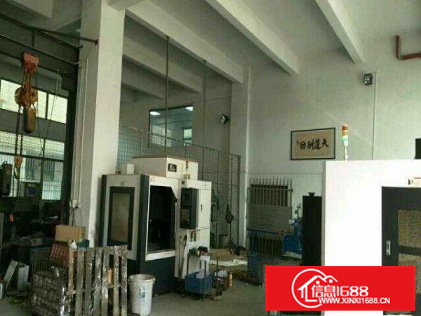 （出租）五一大道边一楼660平带装修厂房招租