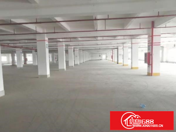 木棉湾地铁口400平800平1000平5000平厂房出租