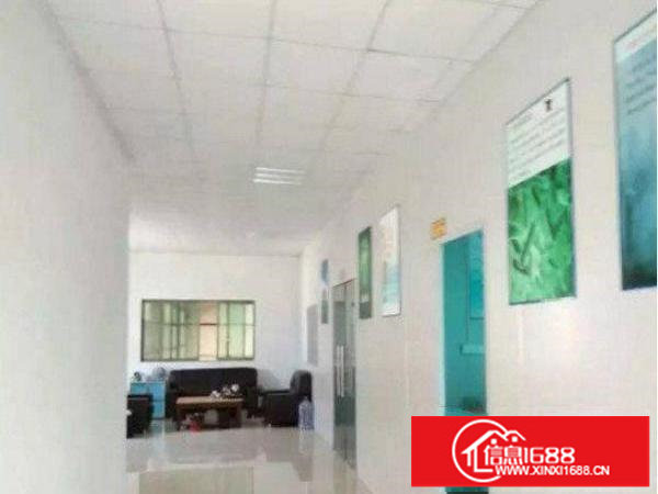 坪山六和城单一层钢构厂房1000平方带豪华办公室装修