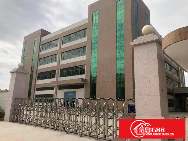 桥头全新厂房出租