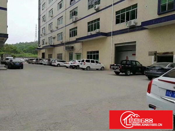 观澜新出五和大道2楼1500平方面积实在带精装修