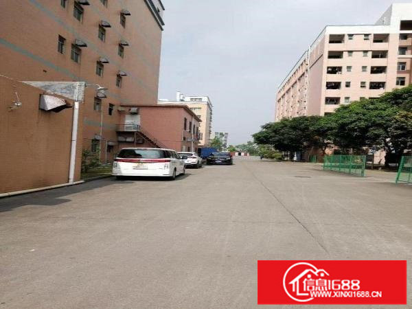 油画画框印刷珠宝厂房1000平可分租