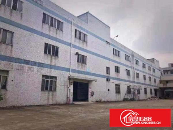 万江石美万江客运总站万江石美1仓库出租