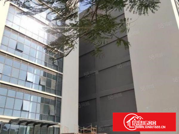 樟木头原房东全新独院厂房15000平直租