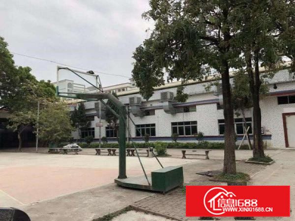 塘厦原房东花园式砖墙钢构独院实际面积出租