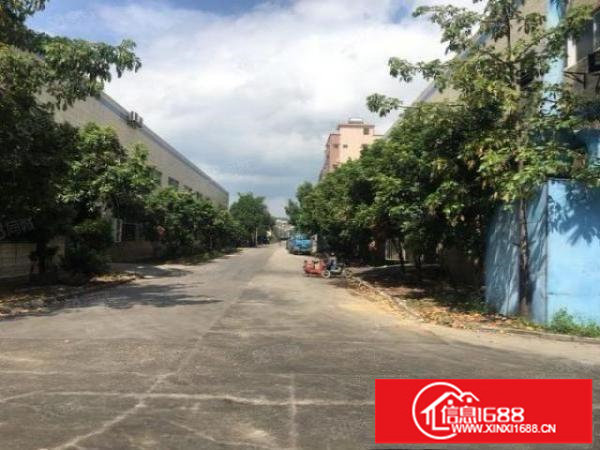 坪山坑梓新出原房东7米高钢构980平21块一平有红本