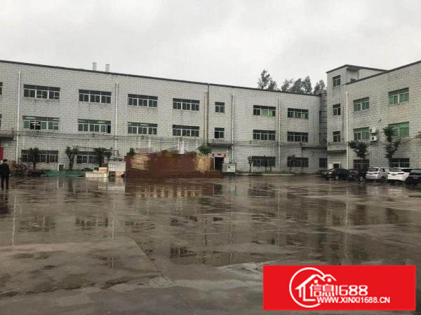 坑梓金沙新出原房东独院厂房4500平出租实际面积