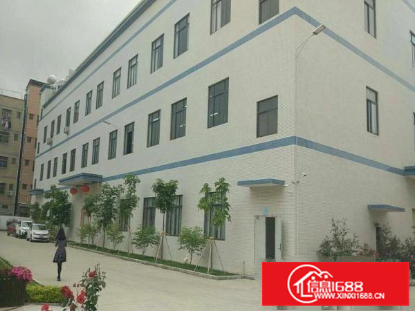 （有红本）带消防证独院厂房出租，宿舍配有太阳能