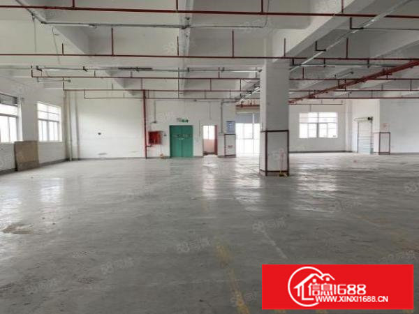 六约业主直租免中介100平200平300平包隔墙水电到户